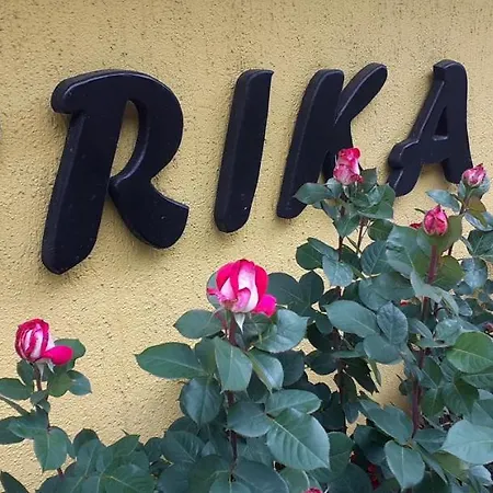Apartment Erika Fuzine
