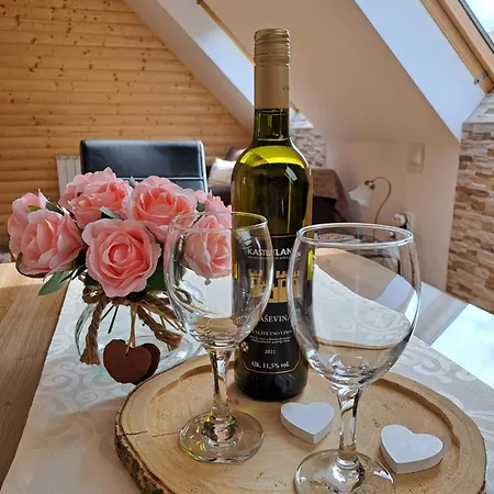 Erika Apartamento Fužine