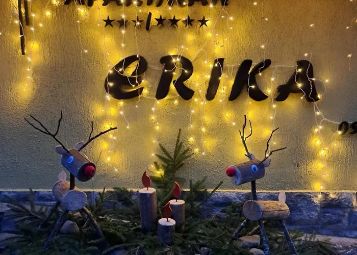 Appartamento Erika Fužine